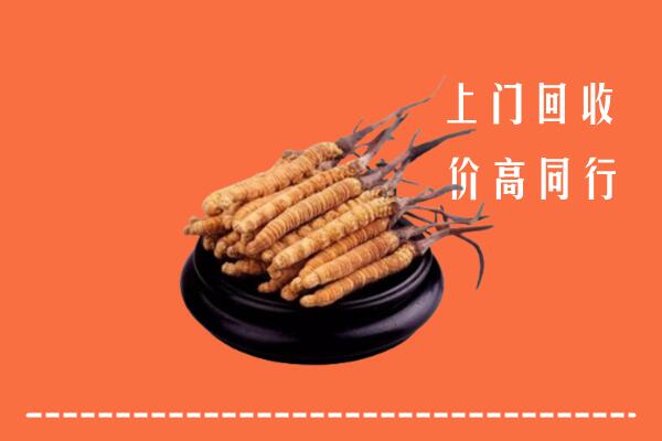 高价求购：皮山县回收散虫草