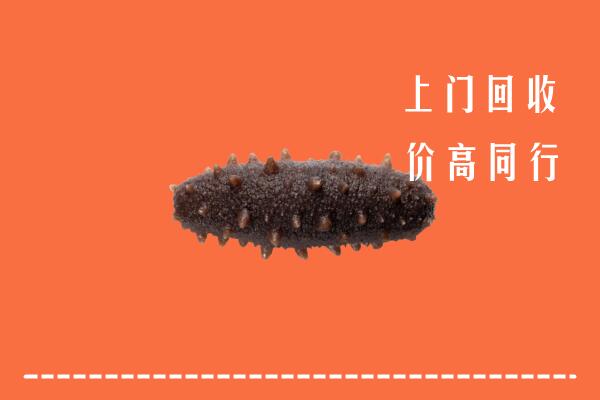 高价求购：皮山县回收海参