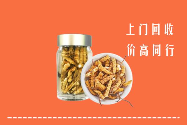 收购行情：皮山县回收冬虫夏草